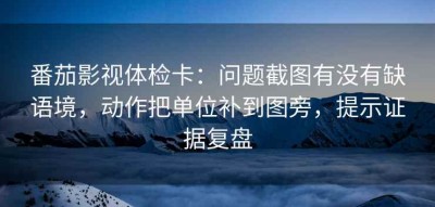 番茄影视体检卡：问题截图有没有缺语境，动作把单位补到图旁，提示证据复盘
