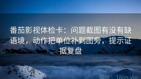 番茄影视体检卡：问题截图有没有缺语境，动作把单位补到图旁，提示证据复盘