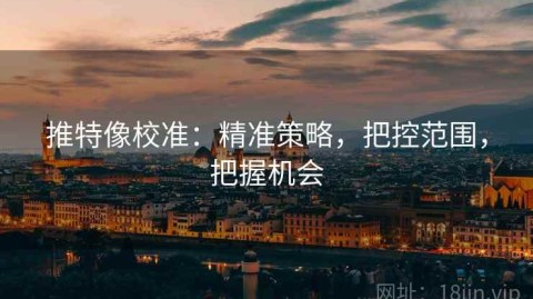 推特像校准：精准策略，把控范围，把握机会