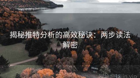 揭秘推特分析的高效秘诀：两步读法解密