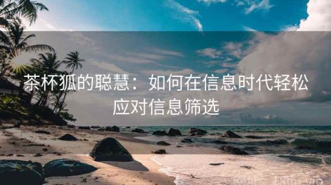 茶杯狐的聪慧：如何在信息时代轻松应对信息筛选