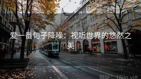 爱一番句子降噪：视听世界的悠然之美