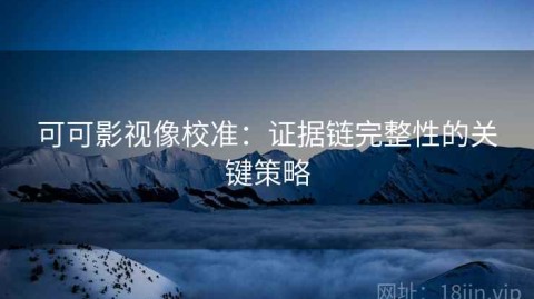 可可影视像校准：证据链完整性的关键策略
