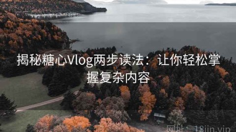 揭秘糖心Vlog两步读法：让你轻松掌握复杂内容