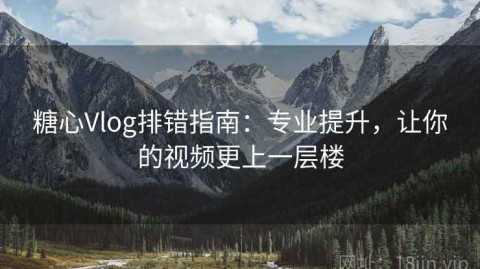 糖心Vlog排错指南：专业提升，让你的视频更上一层楼