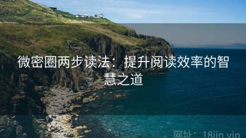 微密圈两步读法：提升阅读效率的智慧之道