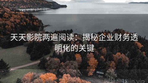 天天影院两遍阅读：揭秘企业财务透明化的关键