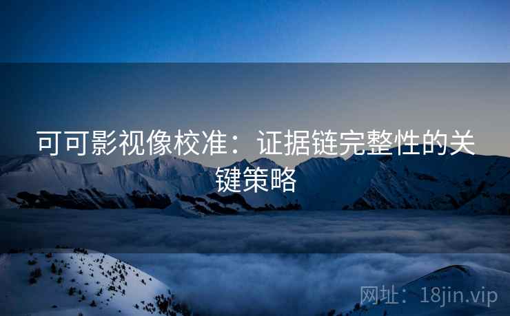 可可影视像校准：证据链完整性的关键策略