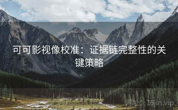 可可影视像校准：证据链完整性的关键策略