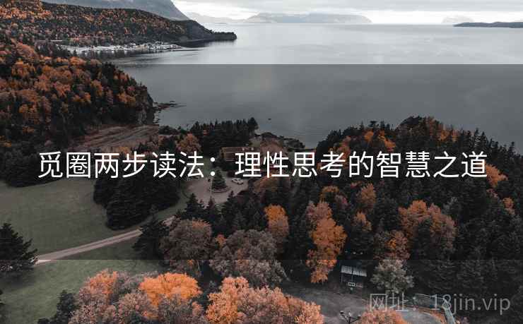 觅圈两步读法：理性思考的智慧之道